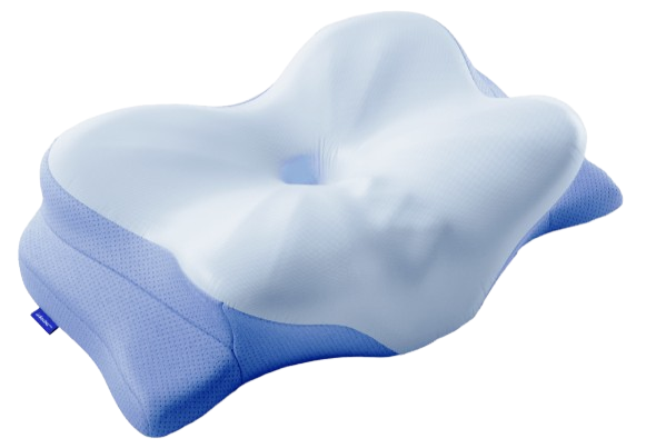 Derila ERGO Memory Foam Pillow Reviews
