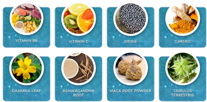 Pineal 10x Ingredients